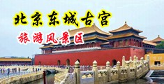 大鸡吧干死我在线观看中国北京-东城古宫旅游风景区